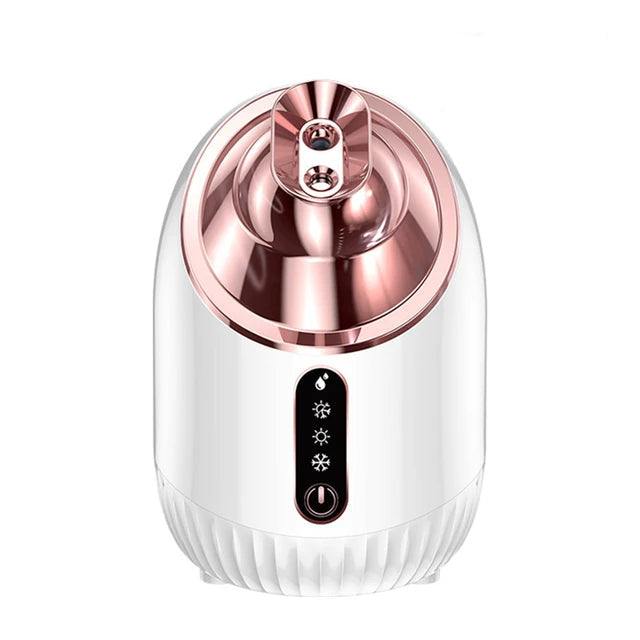 Facial Steamer Moisturizer - My Store